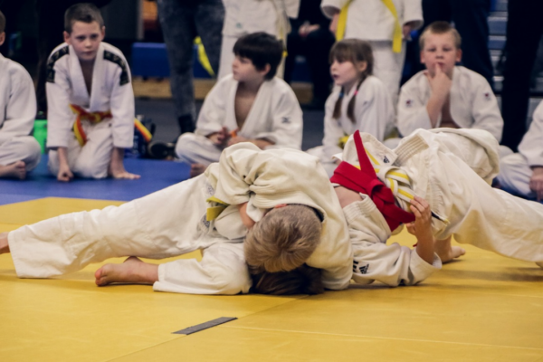 Zoom sur les tapis dedies a la pratique du judo